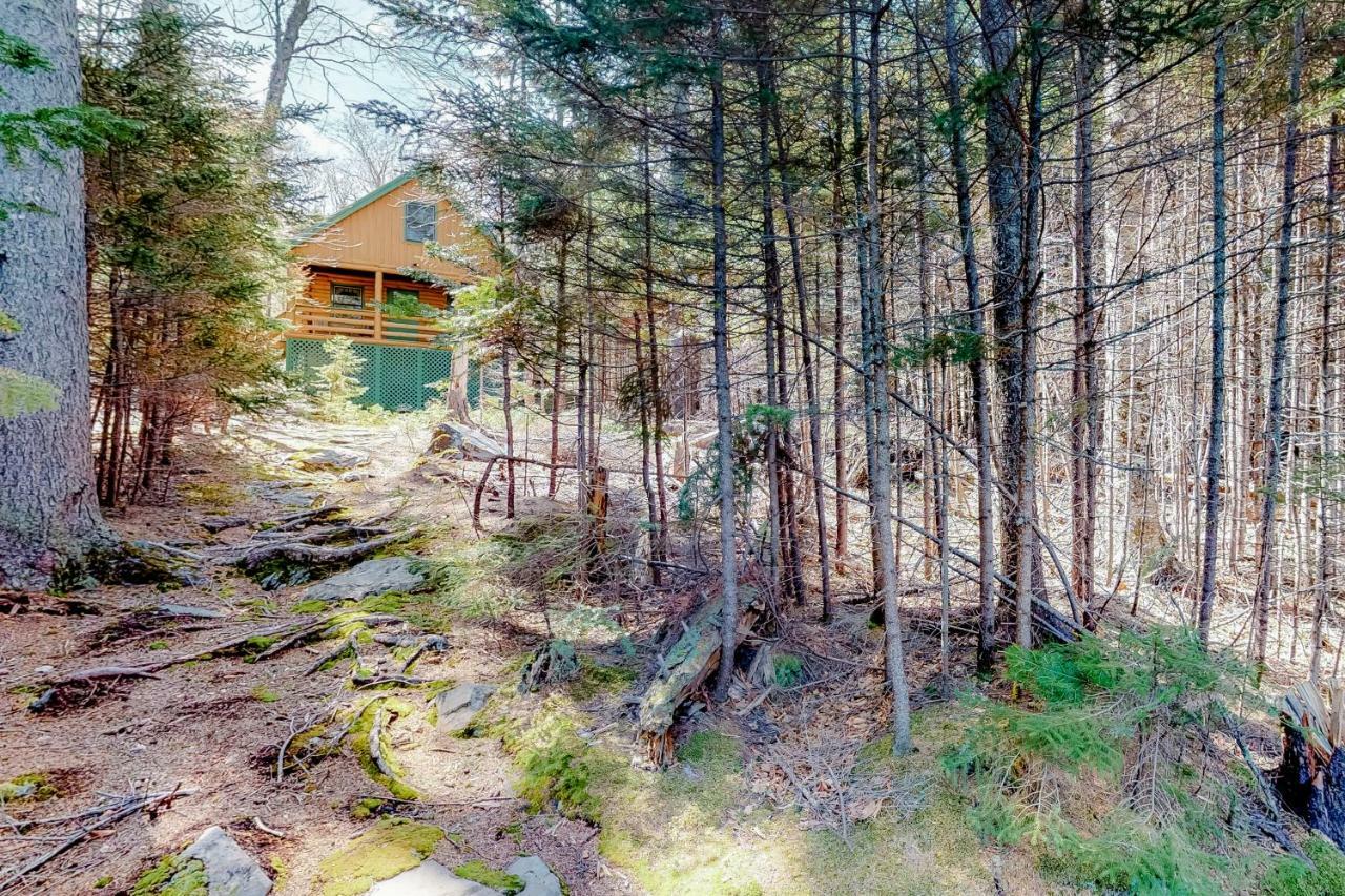 Loon Landing Lodge Greenville Exterior foto